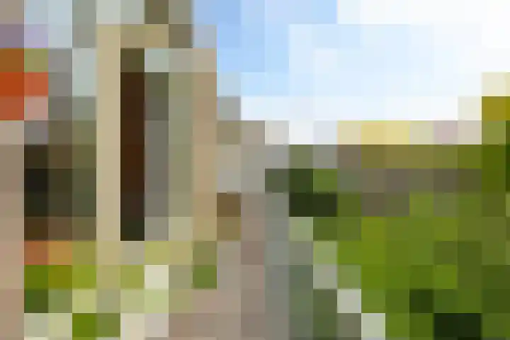 Caan van Necklaan 288 Rijswijk thumbnail 16