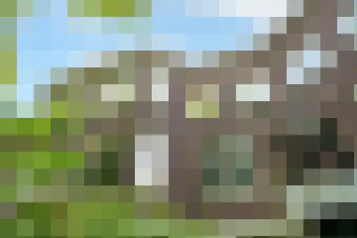 Caan van Necklaan 288 Rijswijk thumbnail 28