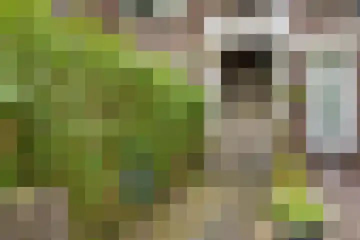 Caan van Necklaan 288 Rijswijk thumbnail 29