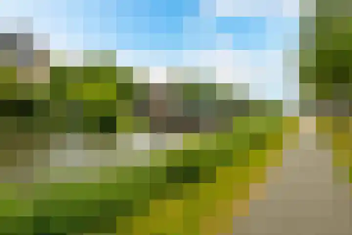 Caan van Necklaan 288 Rijswijk thumbnail 30