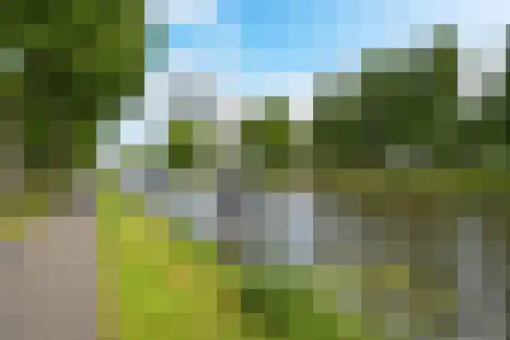 Caan van Necklaan 288 Rijswijk thumbnail 31