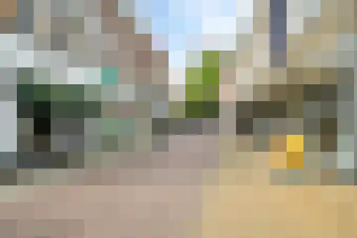 Caan van Necklaan 288 Rijswijk thumbnail 33