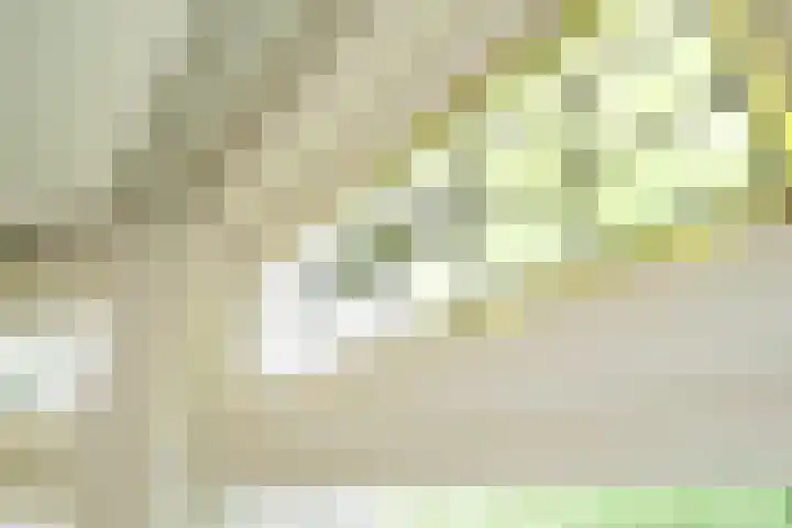 Caan van Necklaan 288 Rijswijk thumbnail 6