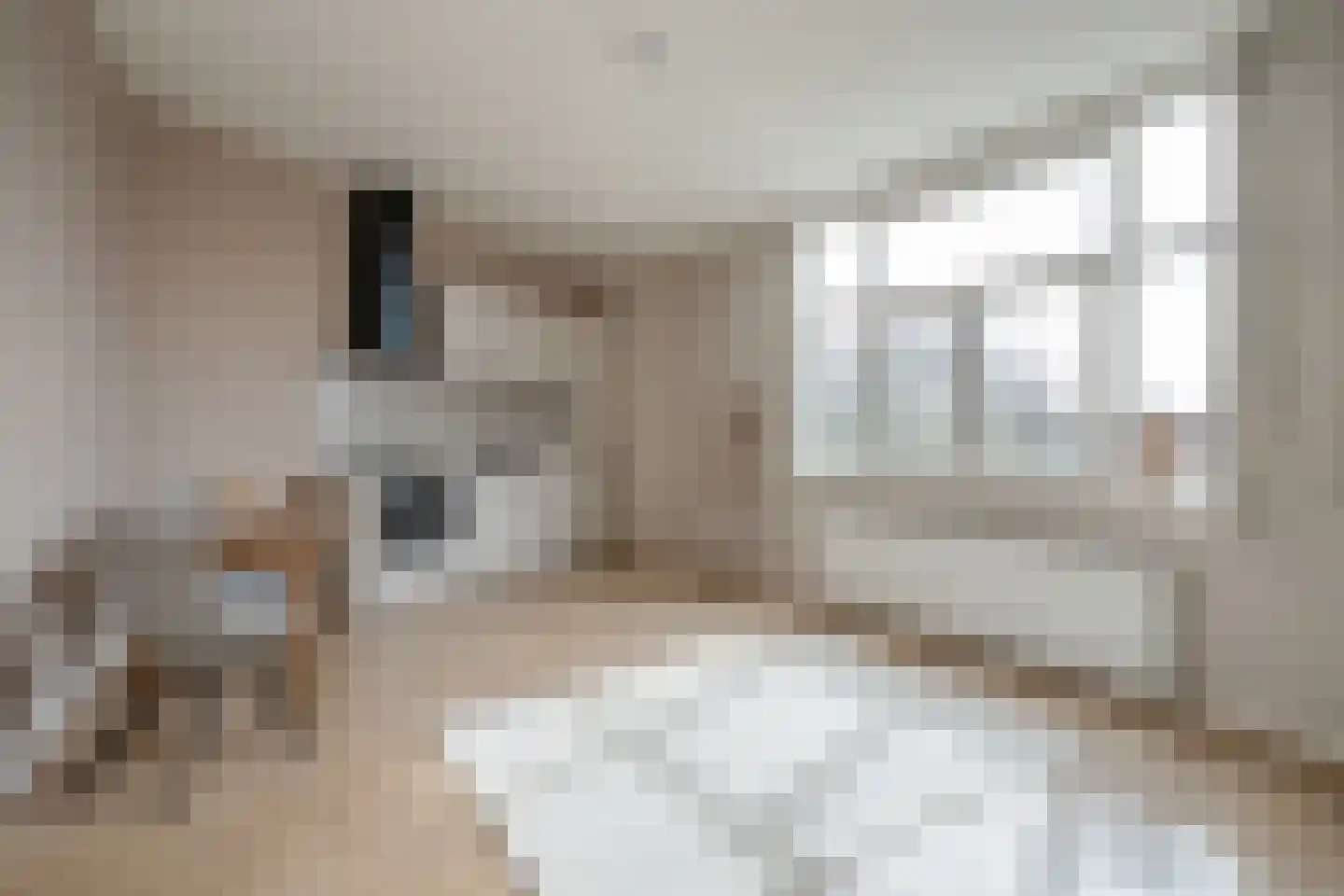 Caan van Necklaan 3 b Rijswijk thumbnail 9