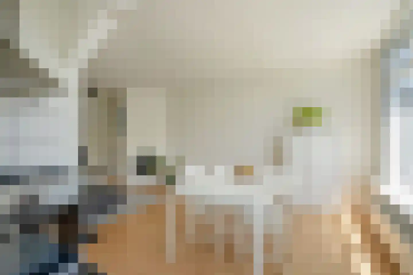 Caan van Necklaan 300 Rijswijk thumbnail 17