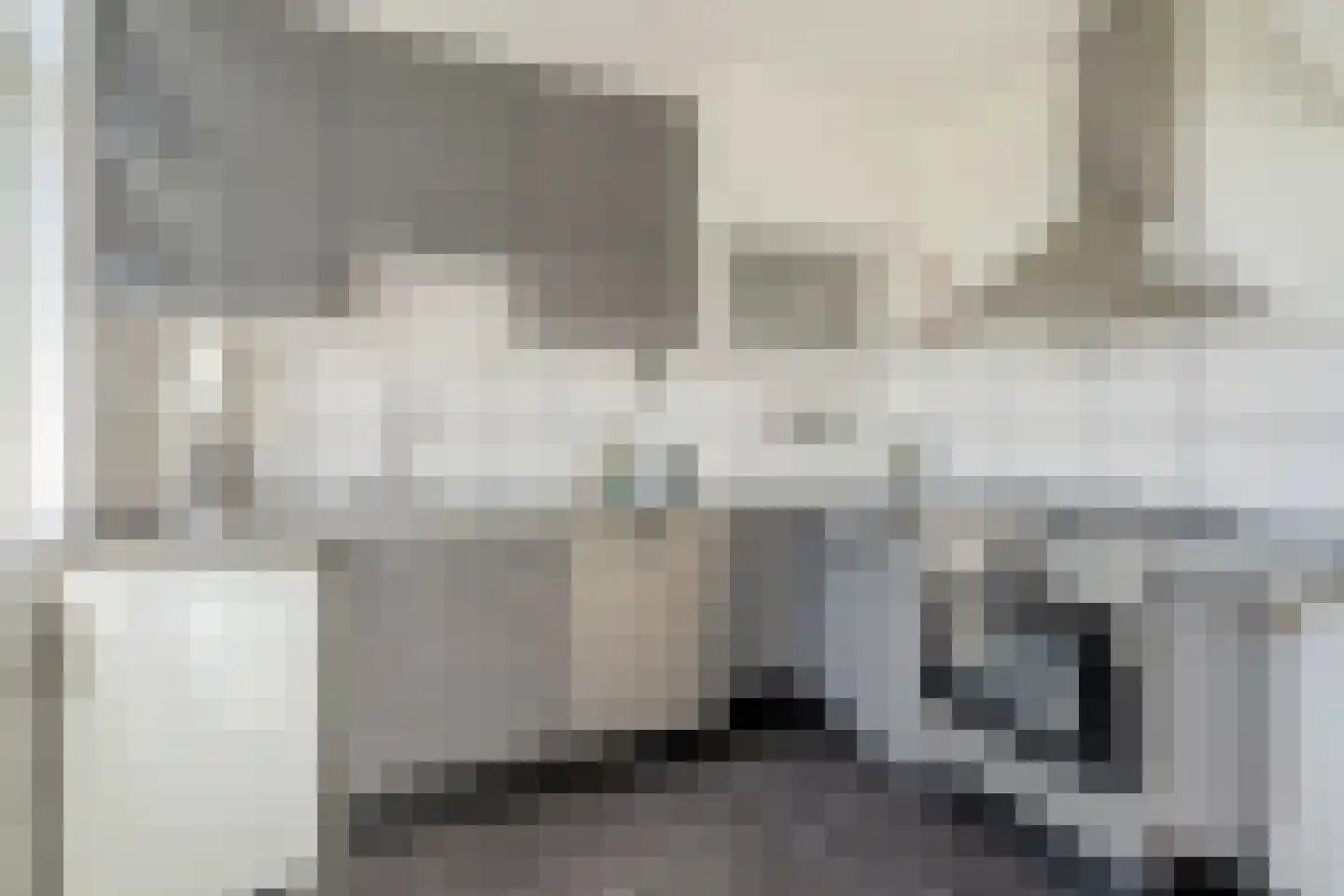 Caan van Necklaan 300 Rijswijk thumbnail 18