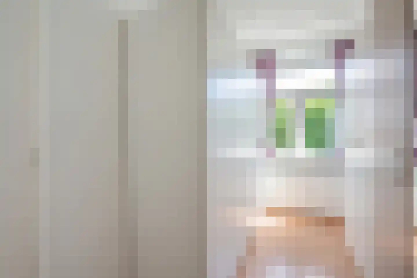 Caan van Necklaan 300 Rijswijk thumbnail 22