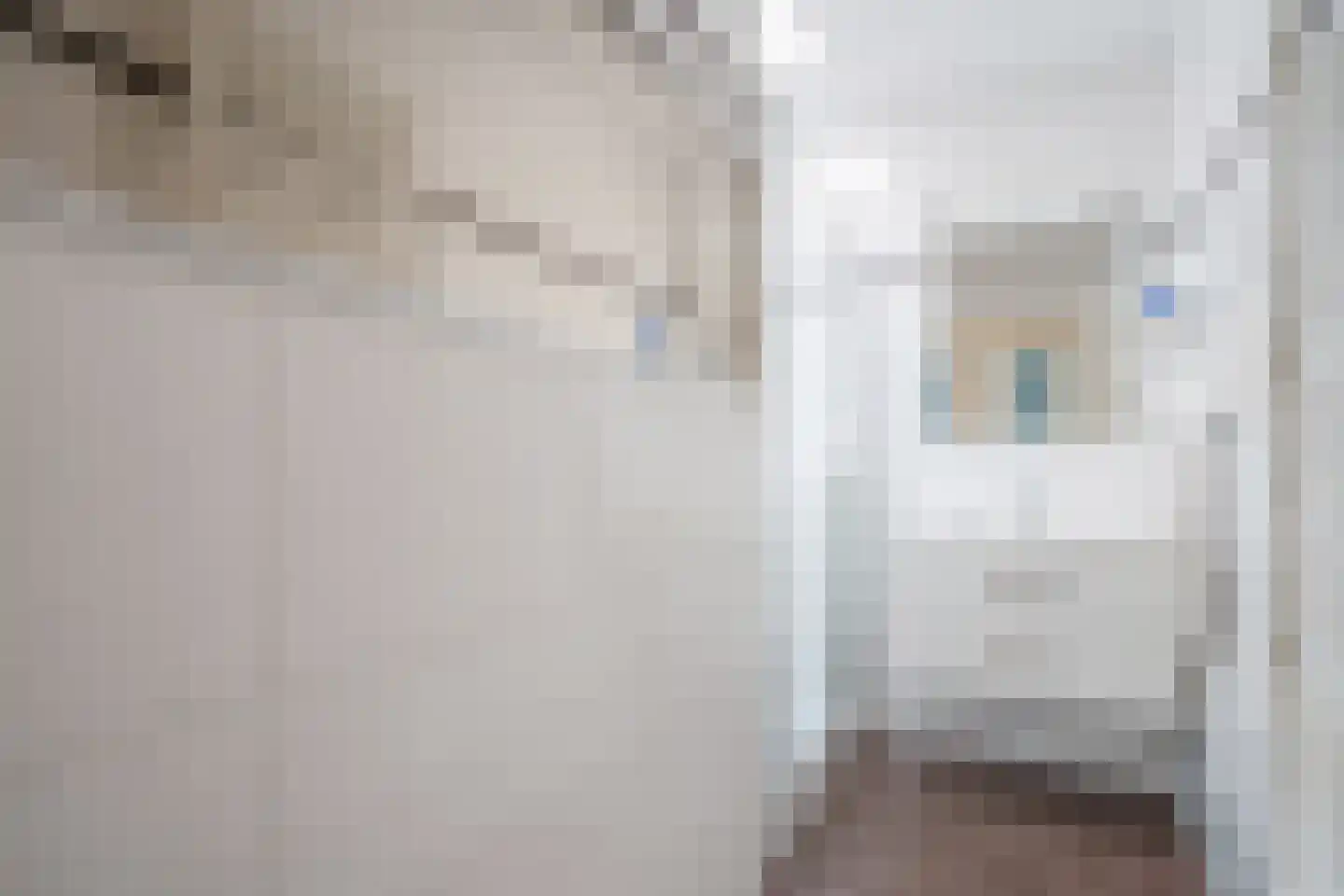 Caan van Necklaan 300 Rijswijk thumbnail 25