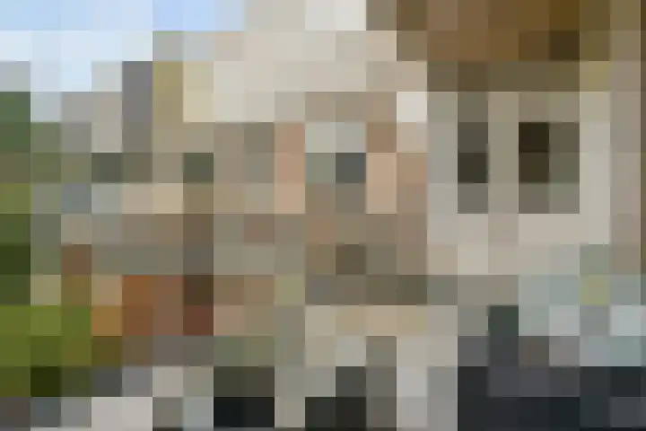 Caan van Necklaan 314 Rijswijk thumbnail 14