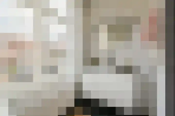 Caan van Necklaan 314 Rijswijk thumbnail 18
