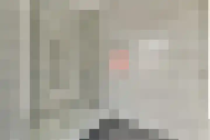 Caan van Necklaan 314 Rijswijk thumbnail 19