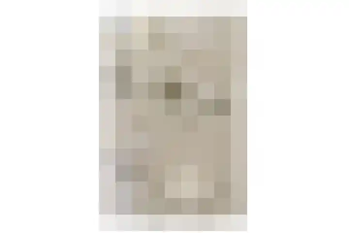 Caan van Necklaan 314 Rijswijk thumbnail 22