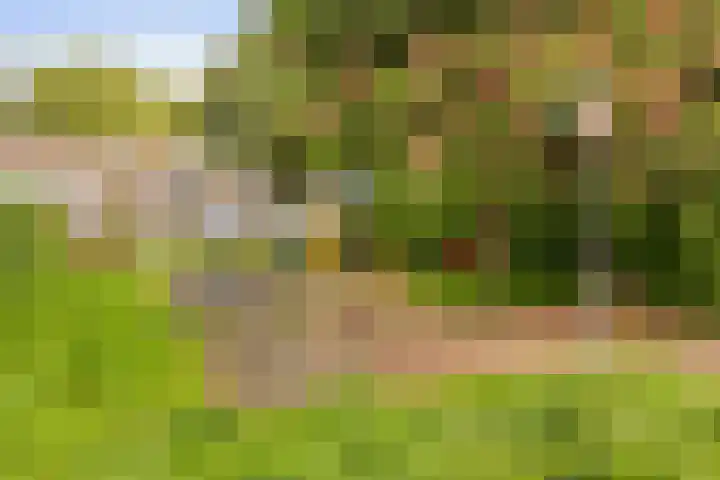 Caan van Necklaan 314 Rijswijk thumbnail 23
