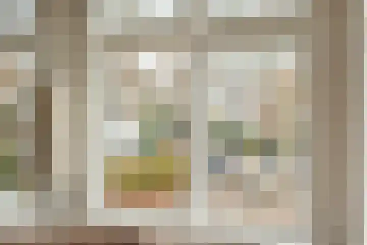 Caan van Necklaan 314 Rijswijk thumbnail 7