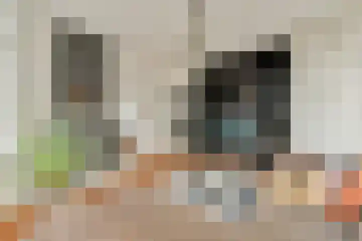 Caan van Necklaan 314 Rijswijk thumbnail 8