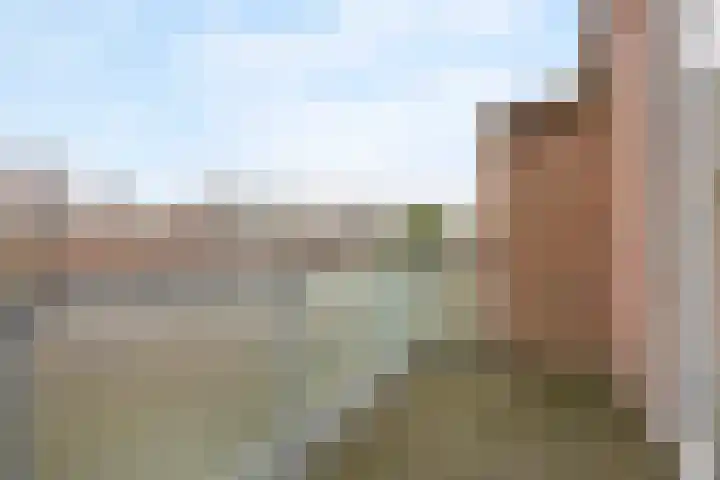 Caan van Necklaan 43 Rijswijk thumbnail 17
