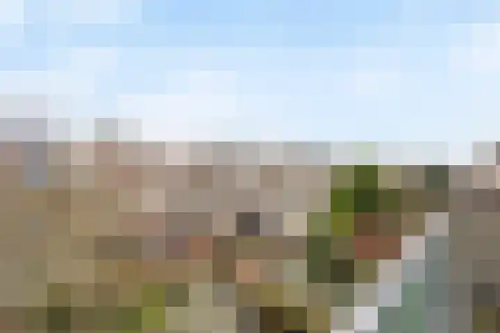 Caan van Necklaan 43 Rijswijk thumbnail 19