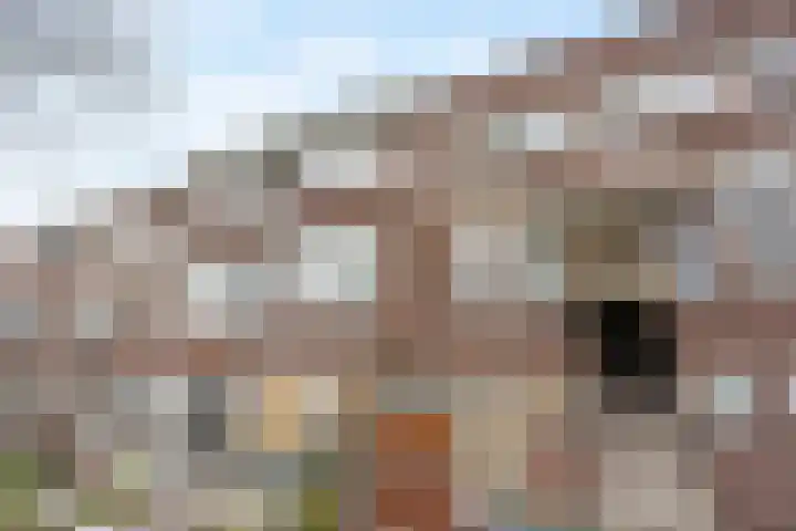 Caan van Necklaan 43 Rijswijk thumbnail 27