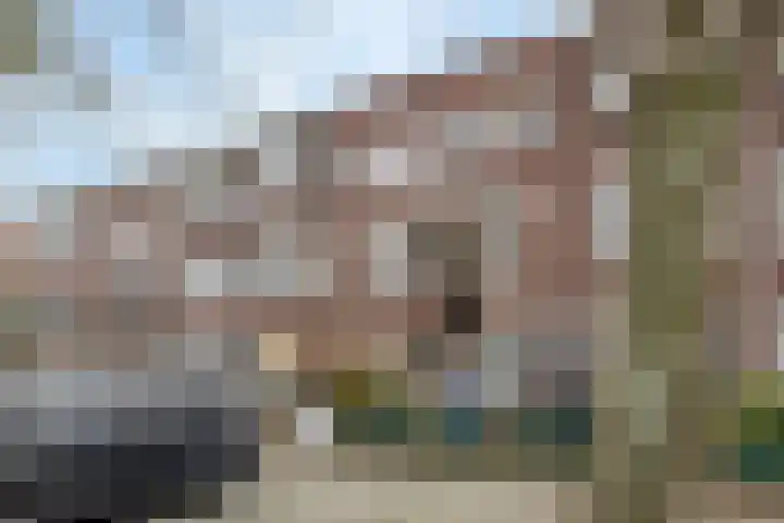Caan van Necklaan 43 Rijswijk thumbnail 28