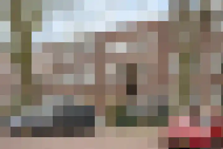 Caan van Necklaan 43 Rijswijk thumbnail 29