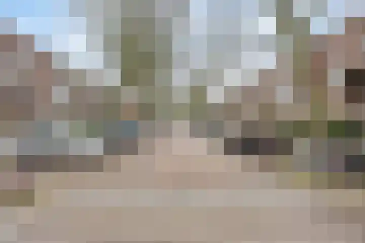 Caan van Necklaan 43 Rijswijk thumbnail 31