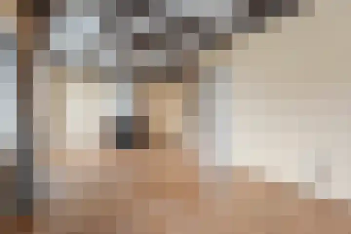 Caan van Necklaan 43 Rijswijk thumbnail 4