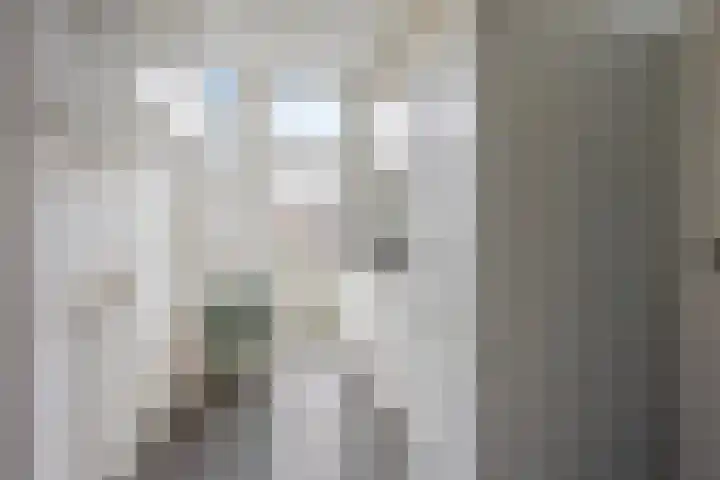 Caan van Necklaan 43 Rijswijk thumbnail 8