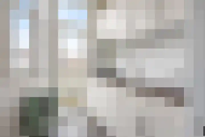 Caan van Necklaan 43 Rijswijk thumbnail 9