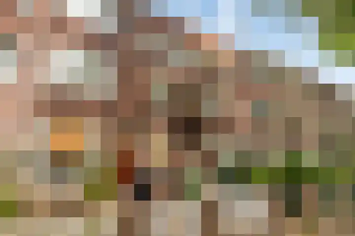 Caan van Necklaan 45 Rijswijk thumbnail 18