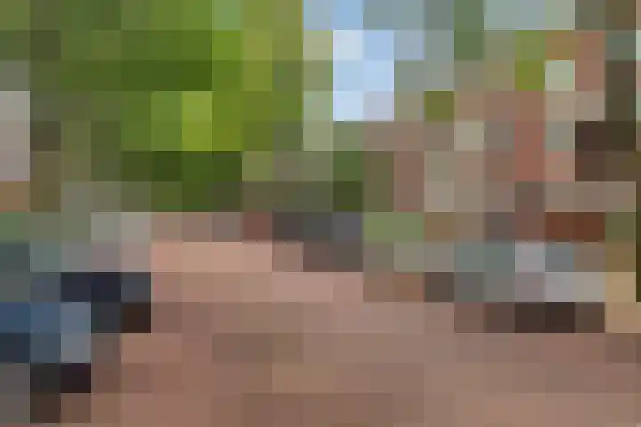 Caan van Necklaan 45 Rijswijk thumbnail 19