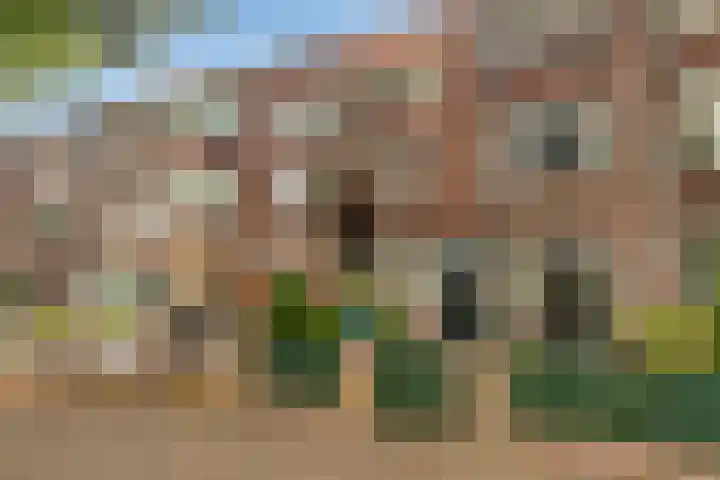 Caan van Necklaan 45 Rijswijk thumbnail 4