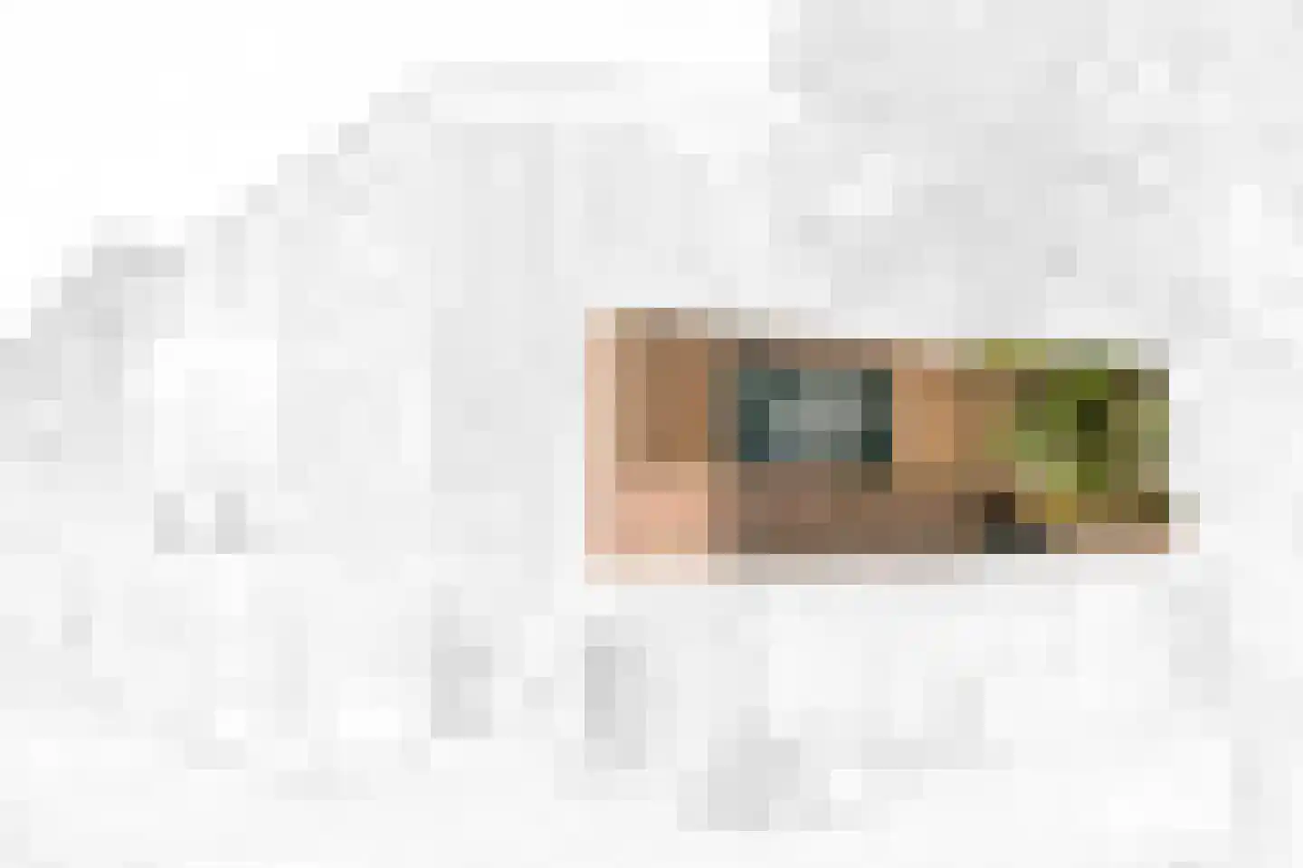 Caan van Necklaan 7 Rijswijk thumbnail 23