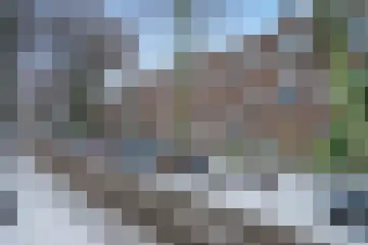 Caan van Necklaan 76 Rijswijk thumbnail 23