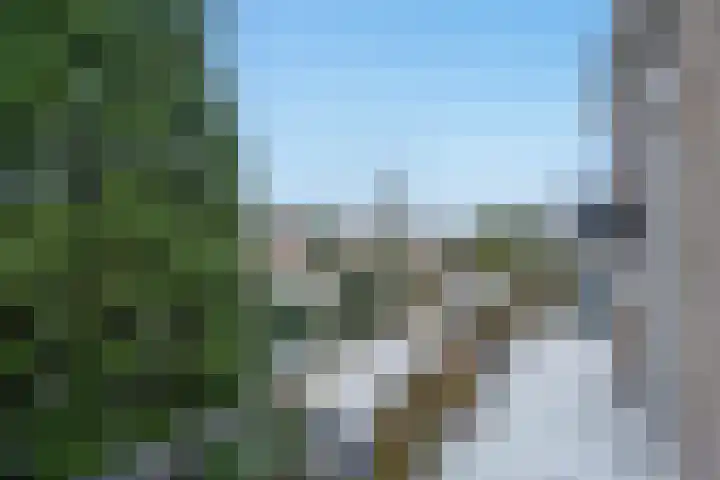 Caan van Necklaan 76 Rijswijk thumbnail 4