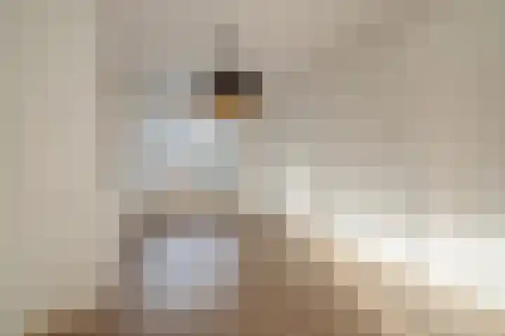 Caan van Necklaan 76 Rijswijk thumbnail 7