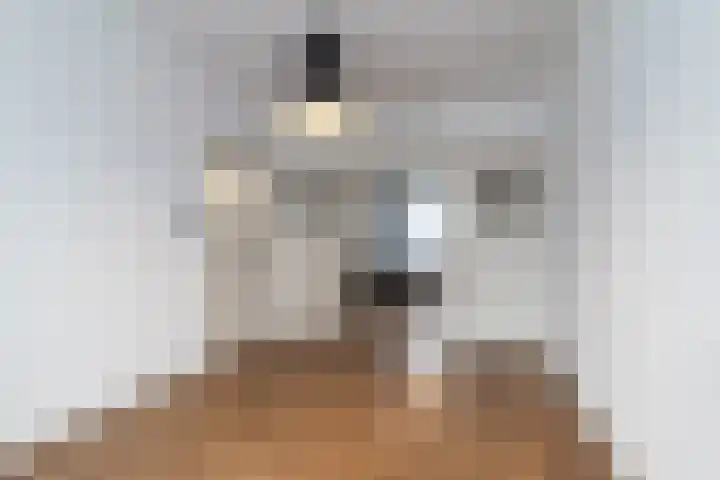 Caan van Necklaan 81 Rijswijk thumbnail 10