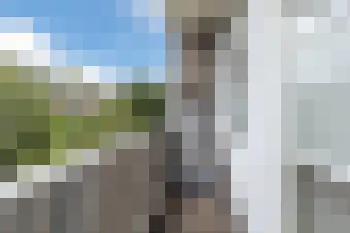Caan van Necklaan 81 Rijswijk thumbnail 21