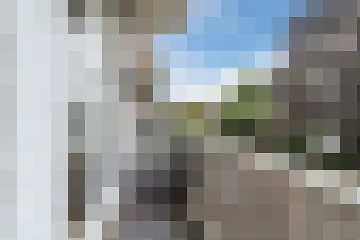 Caan van Necklaan 81 Rijswijk thumbnail 22