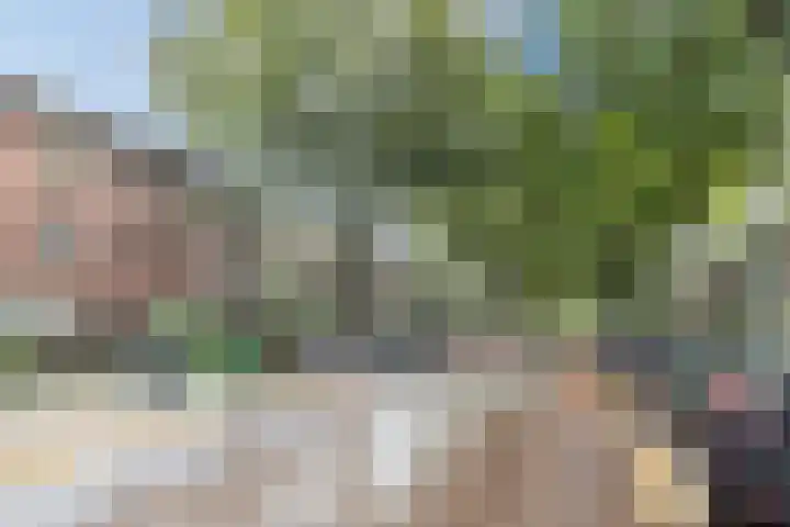 Caan van Necklaan 81 Rijswijk thumbnail 34