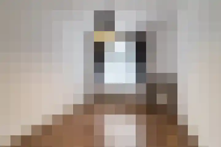 Caan van Necklaan 81 Rijswijk thumbnail 9