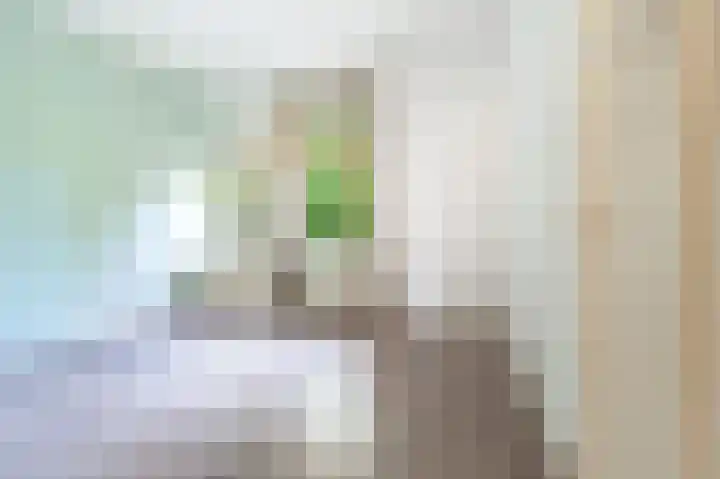 Caan van Necklaan 83 Rijswijk thumbnail 12