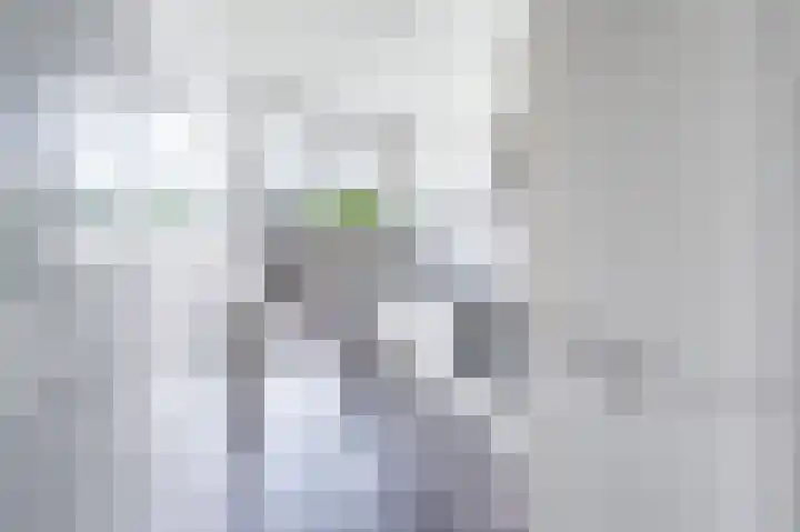Caan van Necklaan 83 Rijswijk thumbnail 5