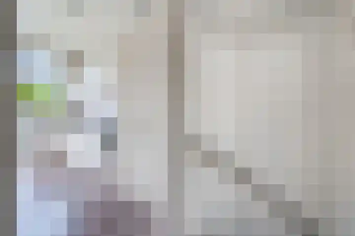 Caan van Necklaan 83 Rijswijk thumbnail 6