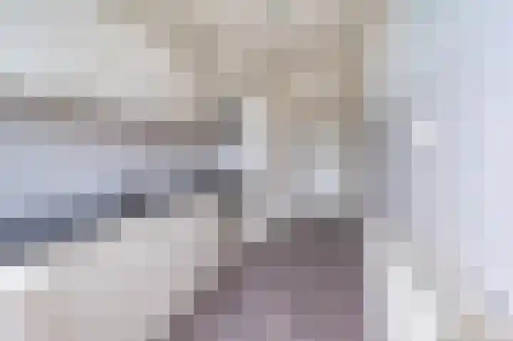 Caan van Necklaan 83 Rijswijk thumbnail 7