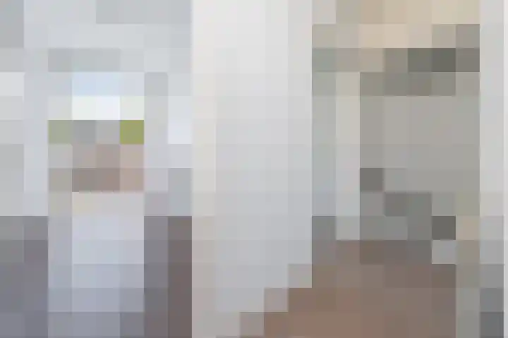Caan van Necklaan 83 Rijswijk thumbnail 8
