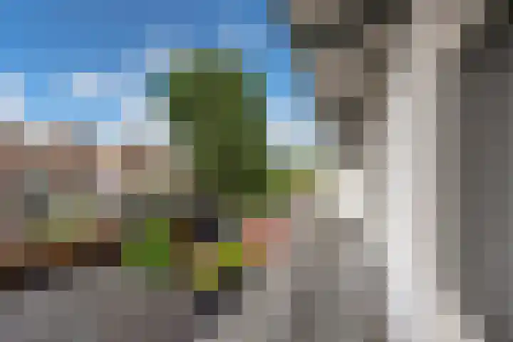 Caan van Necklaan 86 Rijswijk thumbnail 14