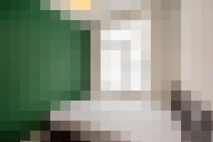 Caan van Necklaan 86 Rijswijk thumbnail 16