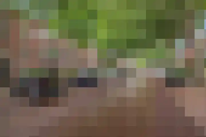 Caan van Necklaan 86 Rijswijk thumbnail 5