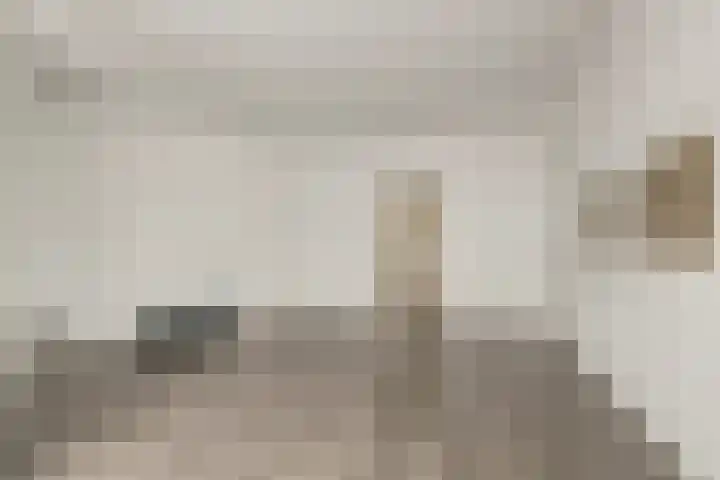 Caan van Necklaan 9 Rijswijk thumbnail 14
