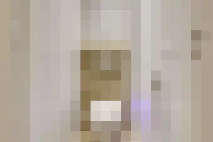 Caan van Necklaan 9 Rijswijk thumbnail 18